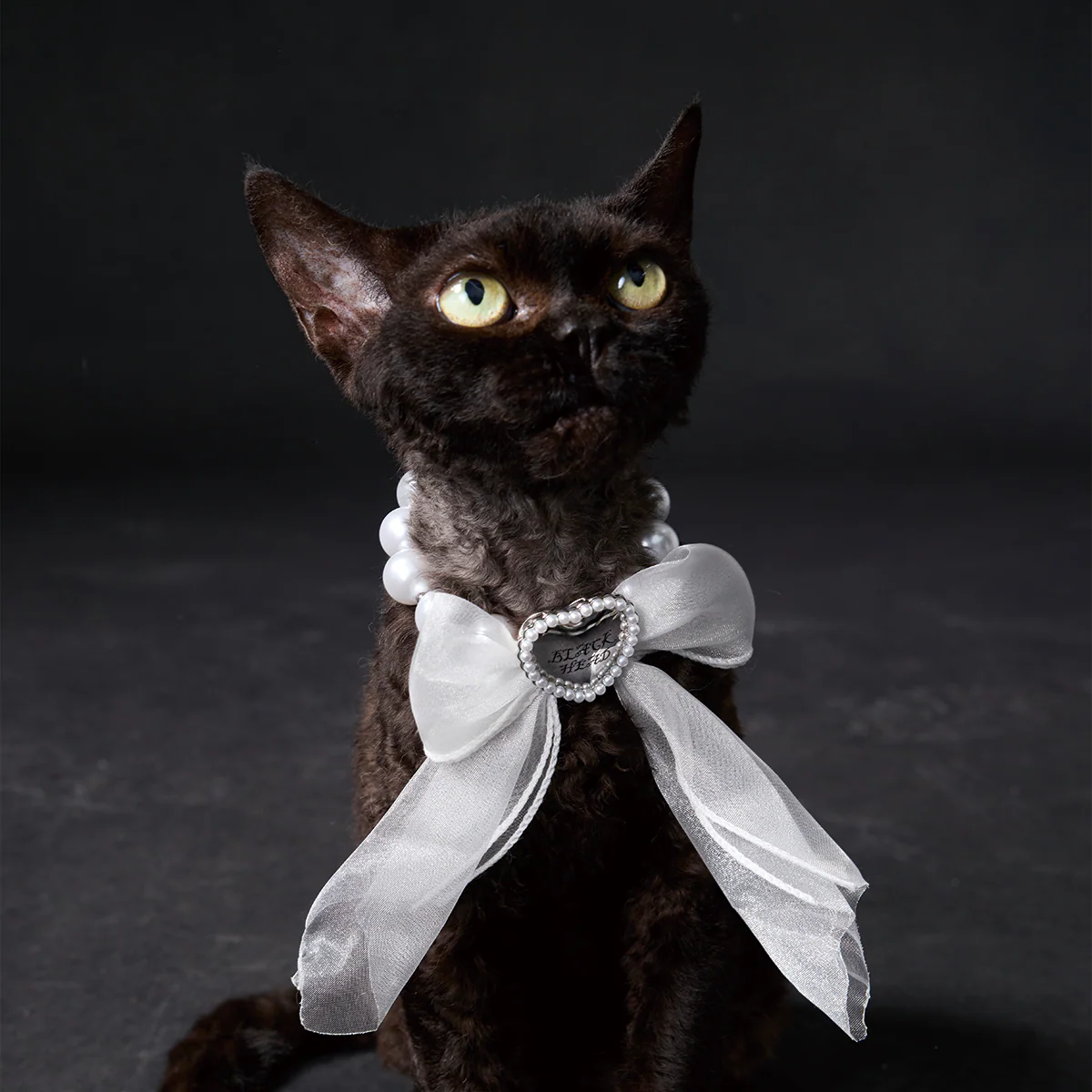 Paws Park Pet Collar & Necklace - Image 15