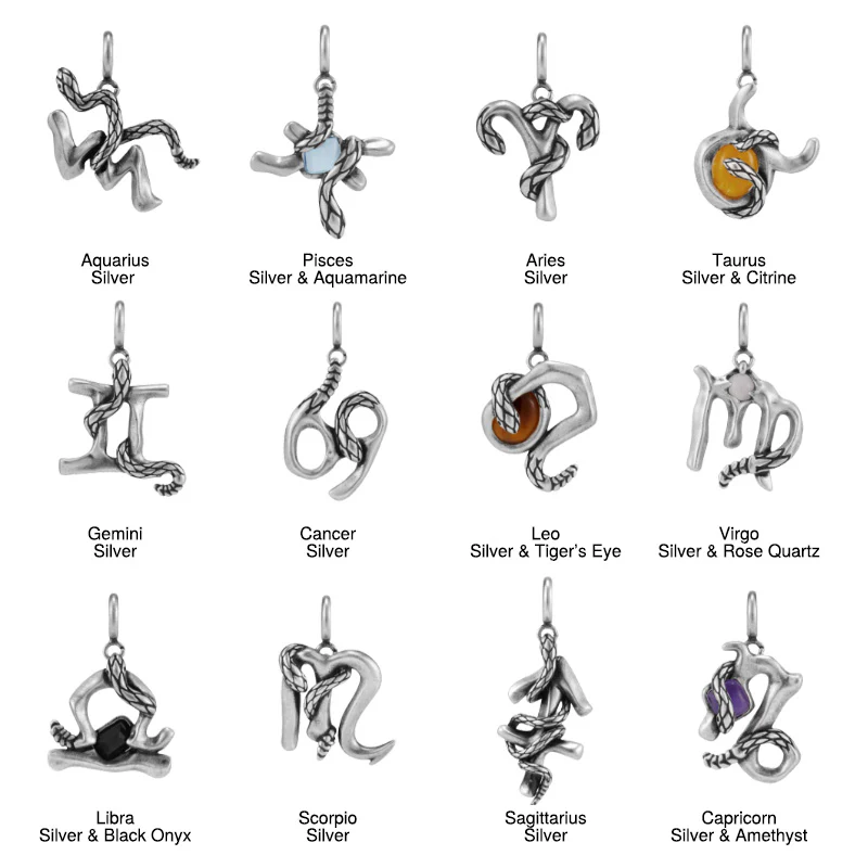 Silver Snake Zodiac Necklace Pendant - Image 2