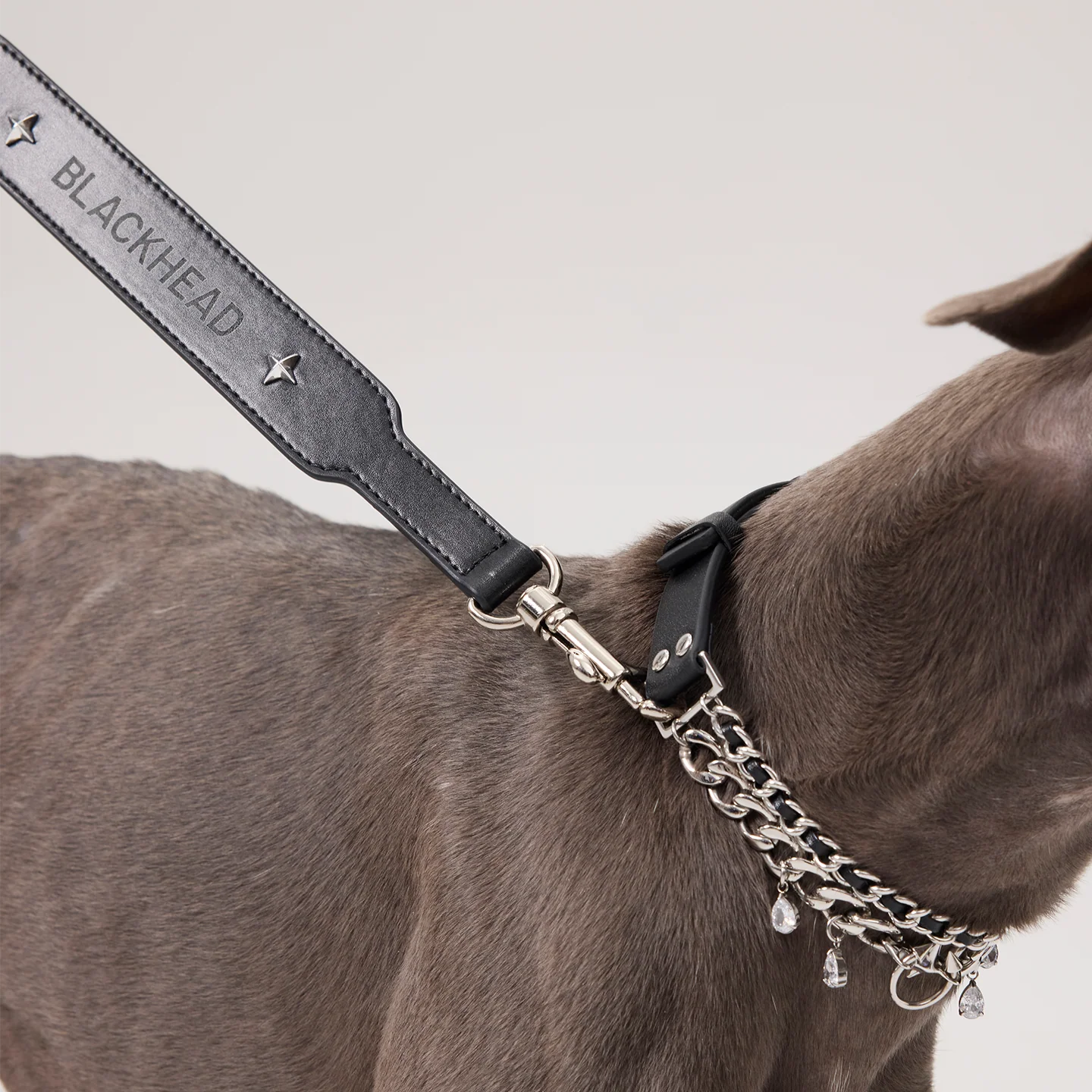 Paws Park Starburst Microfiber Leather Pet Leash - Image 4