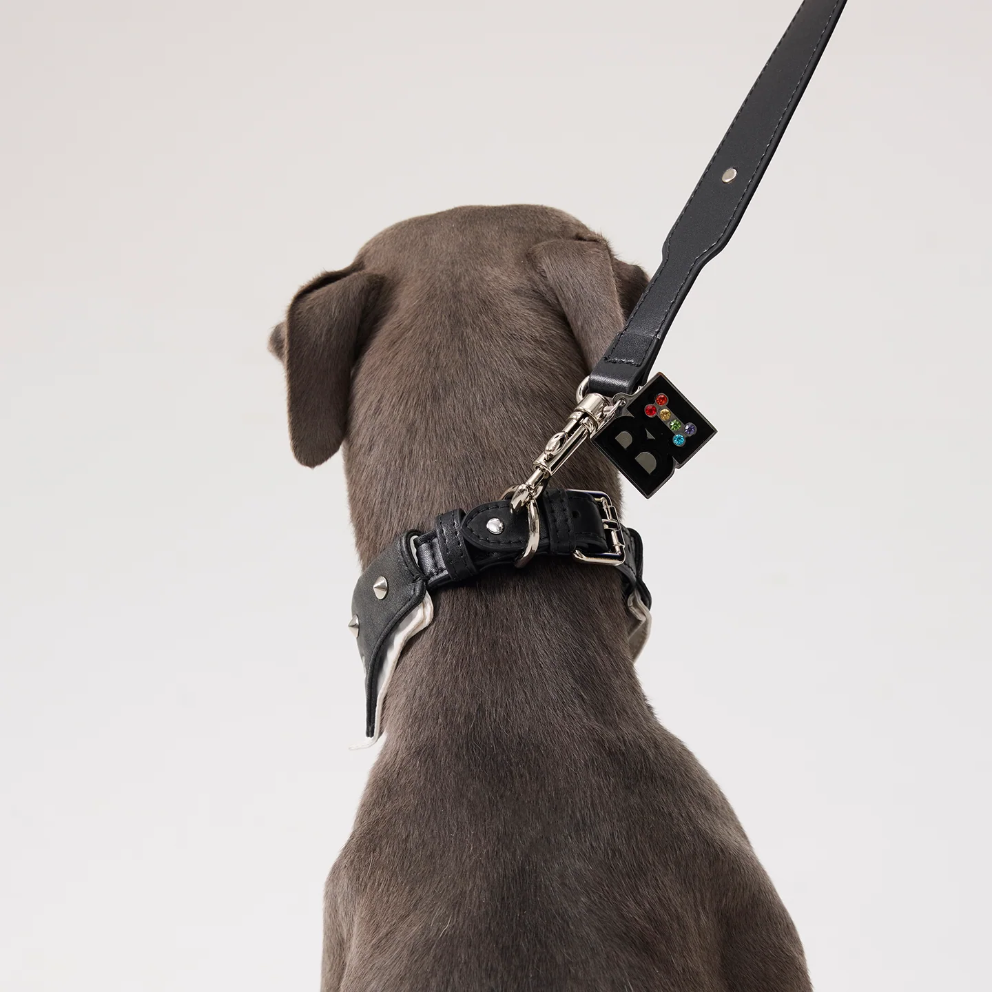 Paws Park Starburst Microfiber Leather Pet Leash - Image 5